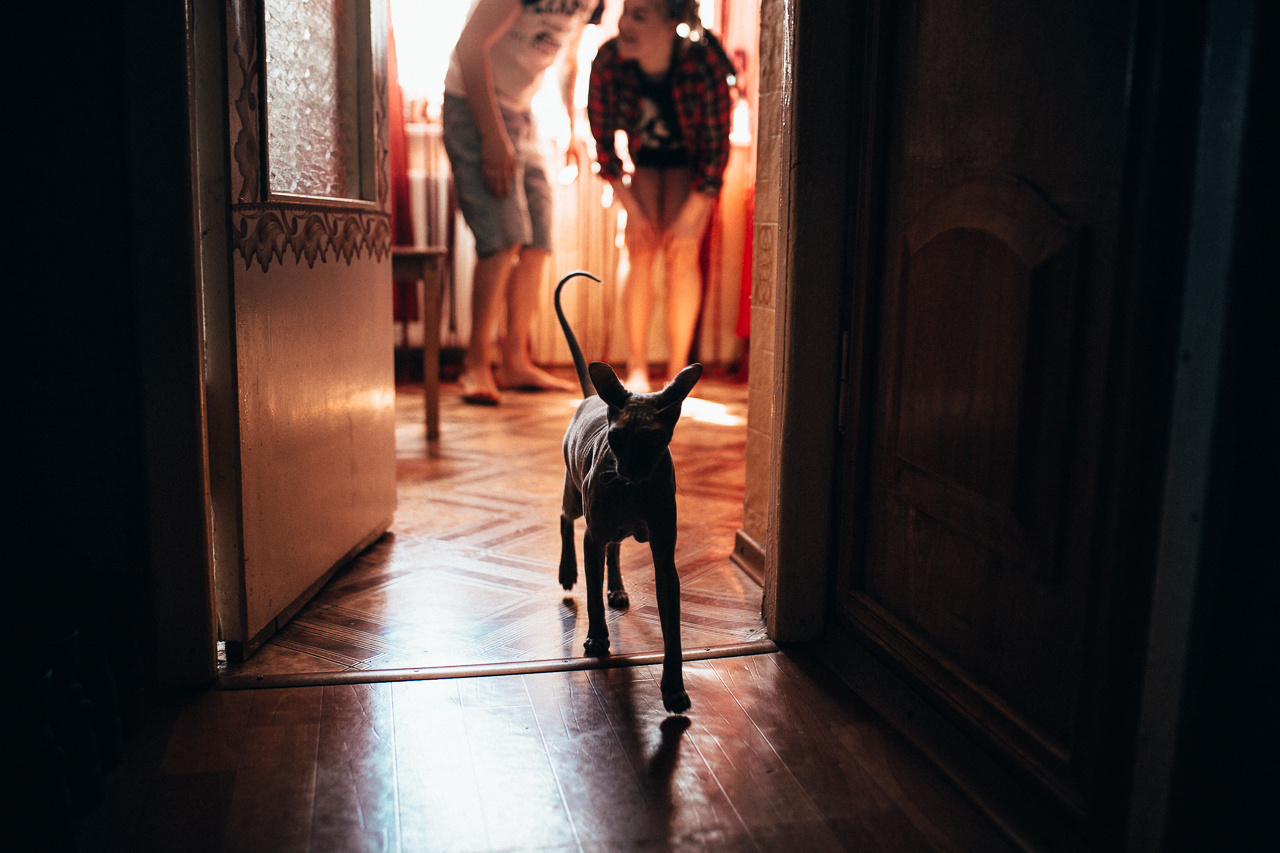 Love  Story. Свадебный фотограф Ярославль, Рыбинск