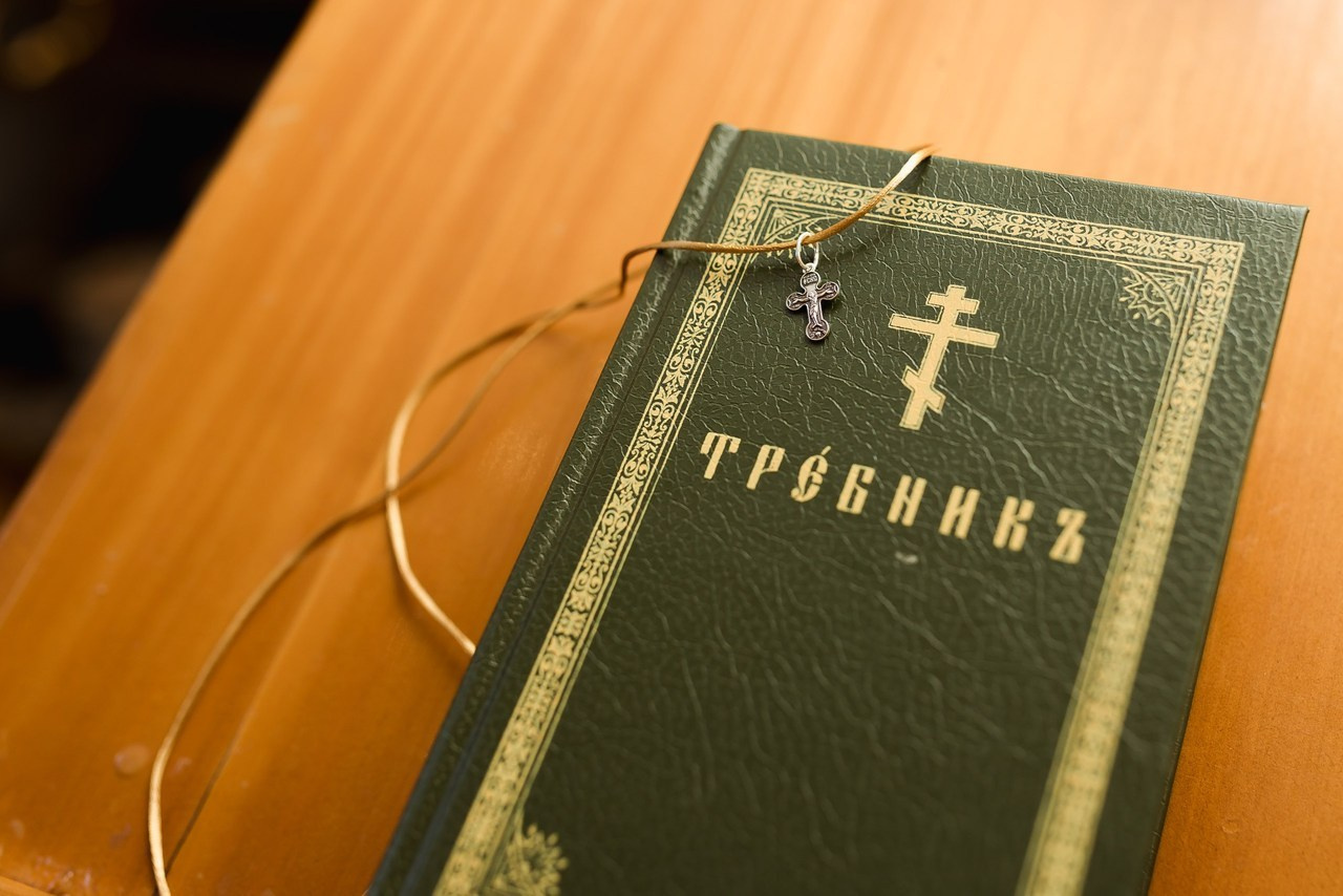 Отзывы. Usmanova Irina / Your Photographer