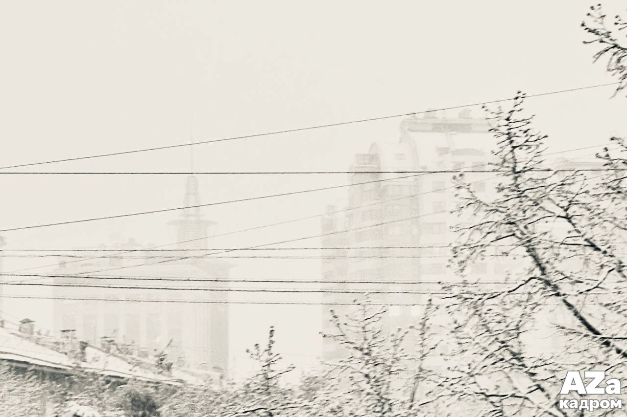 AZакадром «Фотофанты». Женский семейный фотограф Тула Москва Захарова Анна