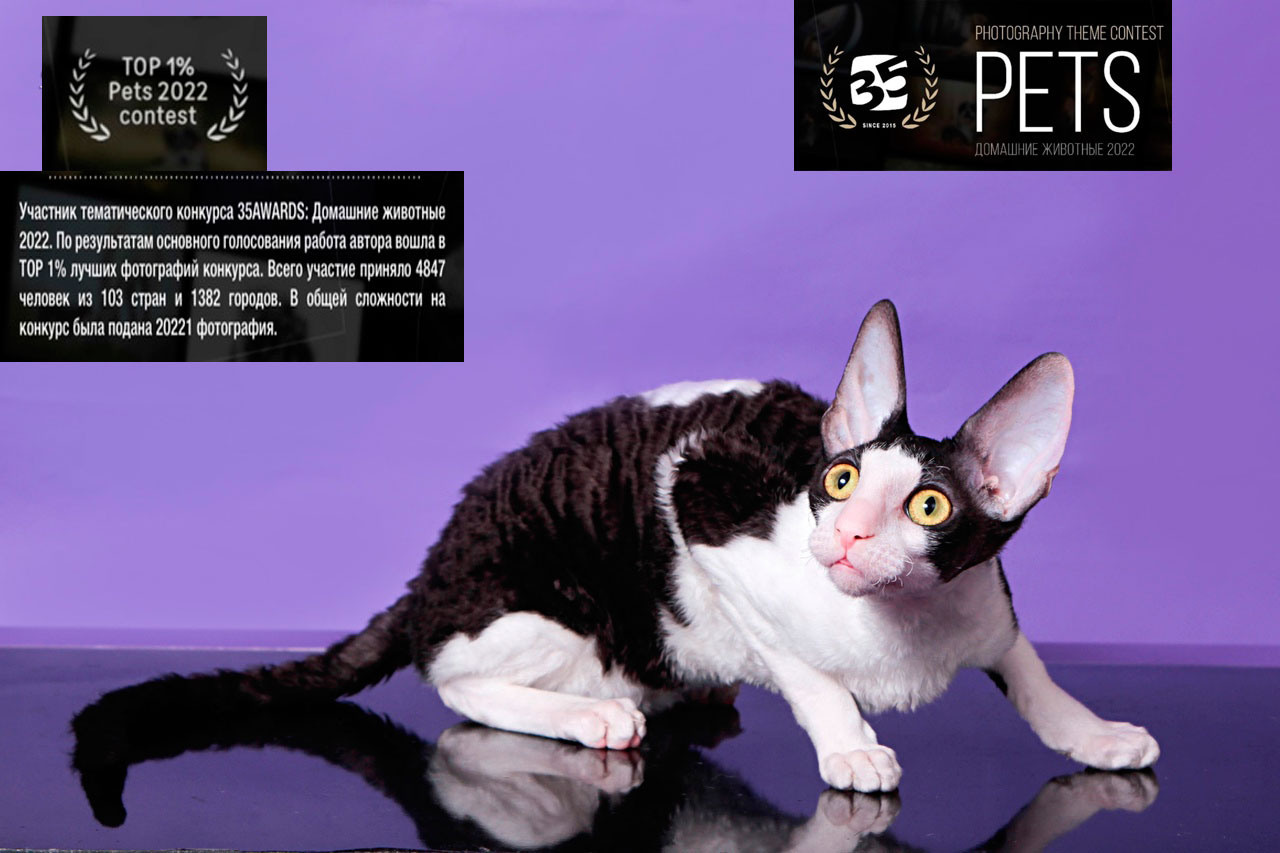 Главная. Конный фотограф в Красноярске — Любовь Похабова