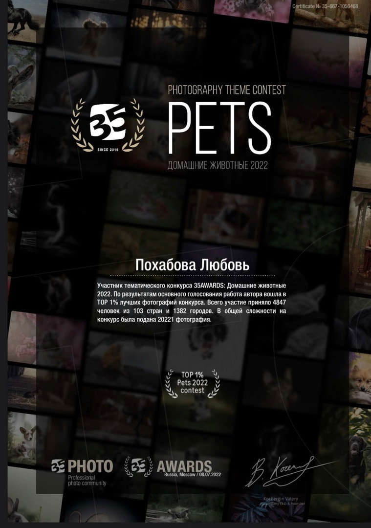 Главная. Конный фотограф в Красноярске — Любовь Похабова