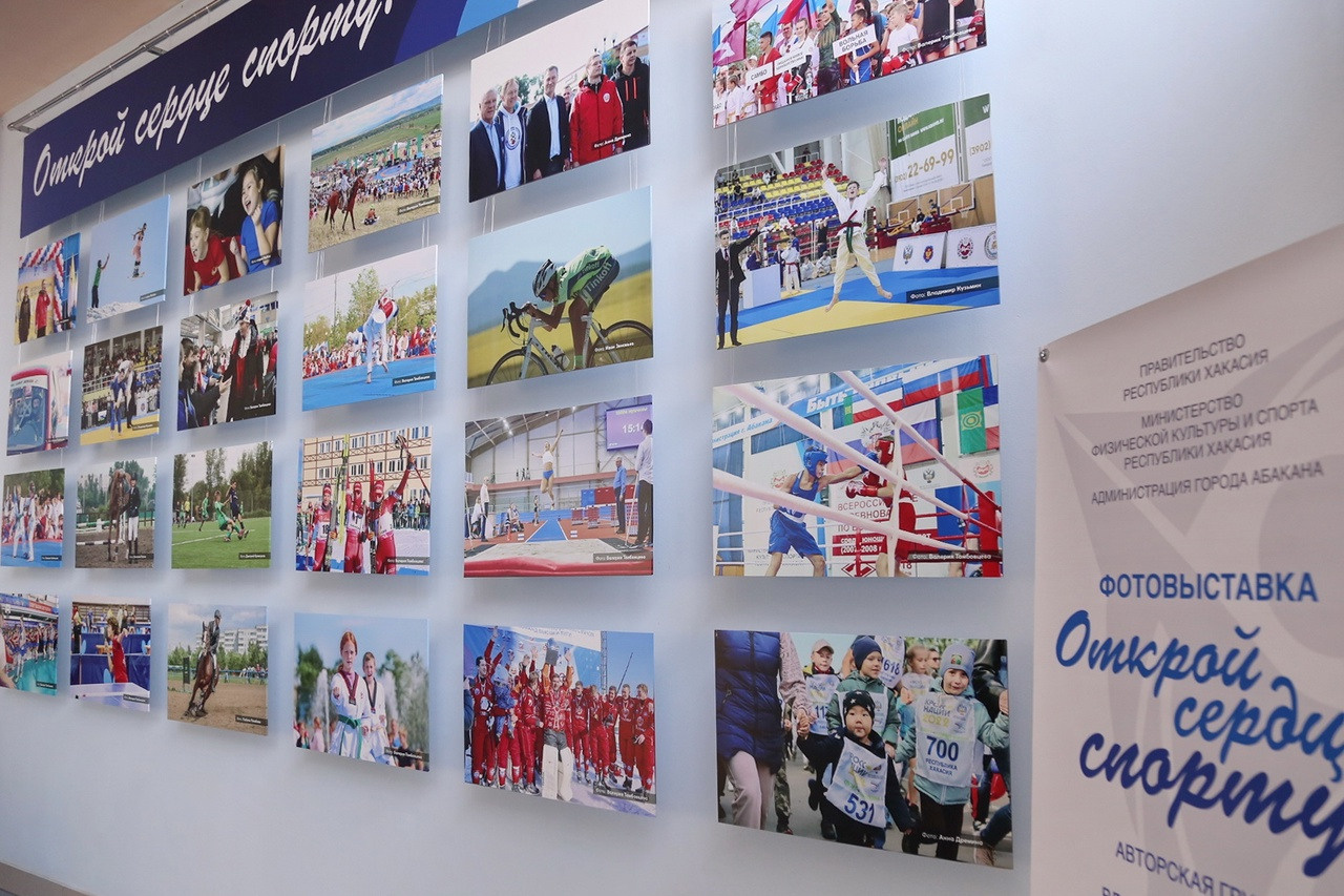 Главная. Конный фотограф в Красноярске — Любовь Похабова