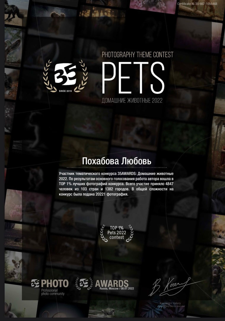 Главная. Конный фотограф в Красноярске — Любовь Похабова