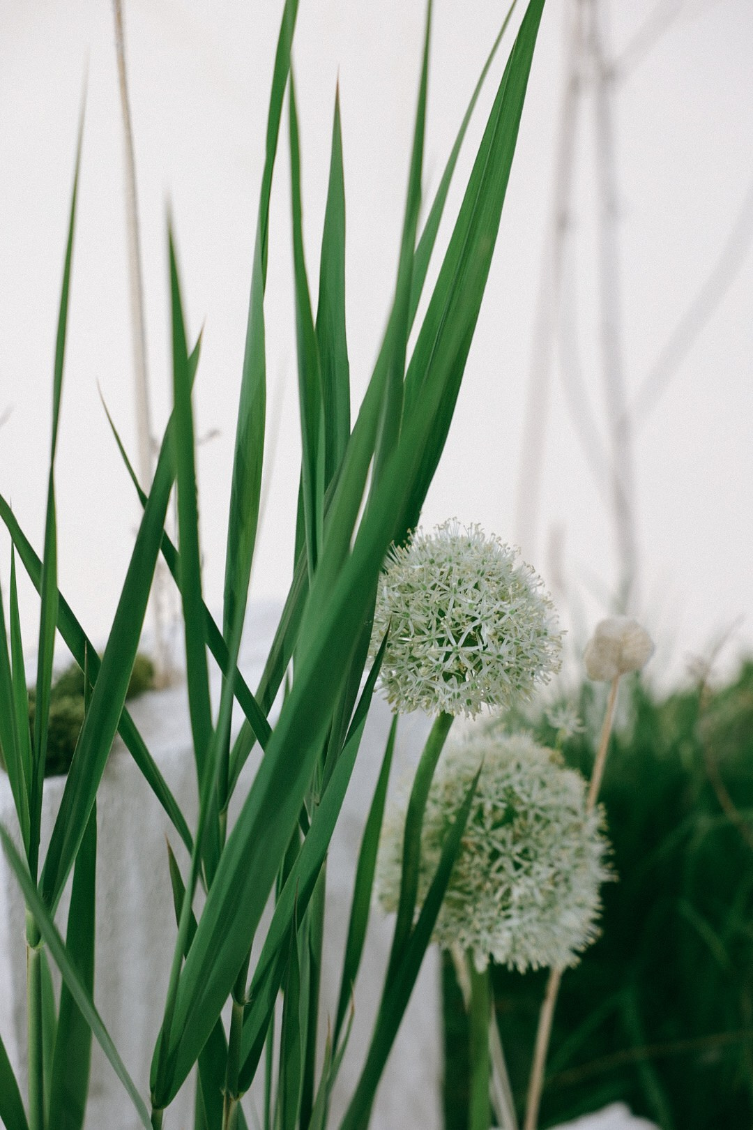 B-day 💛. Фотограф Нижний Новгород