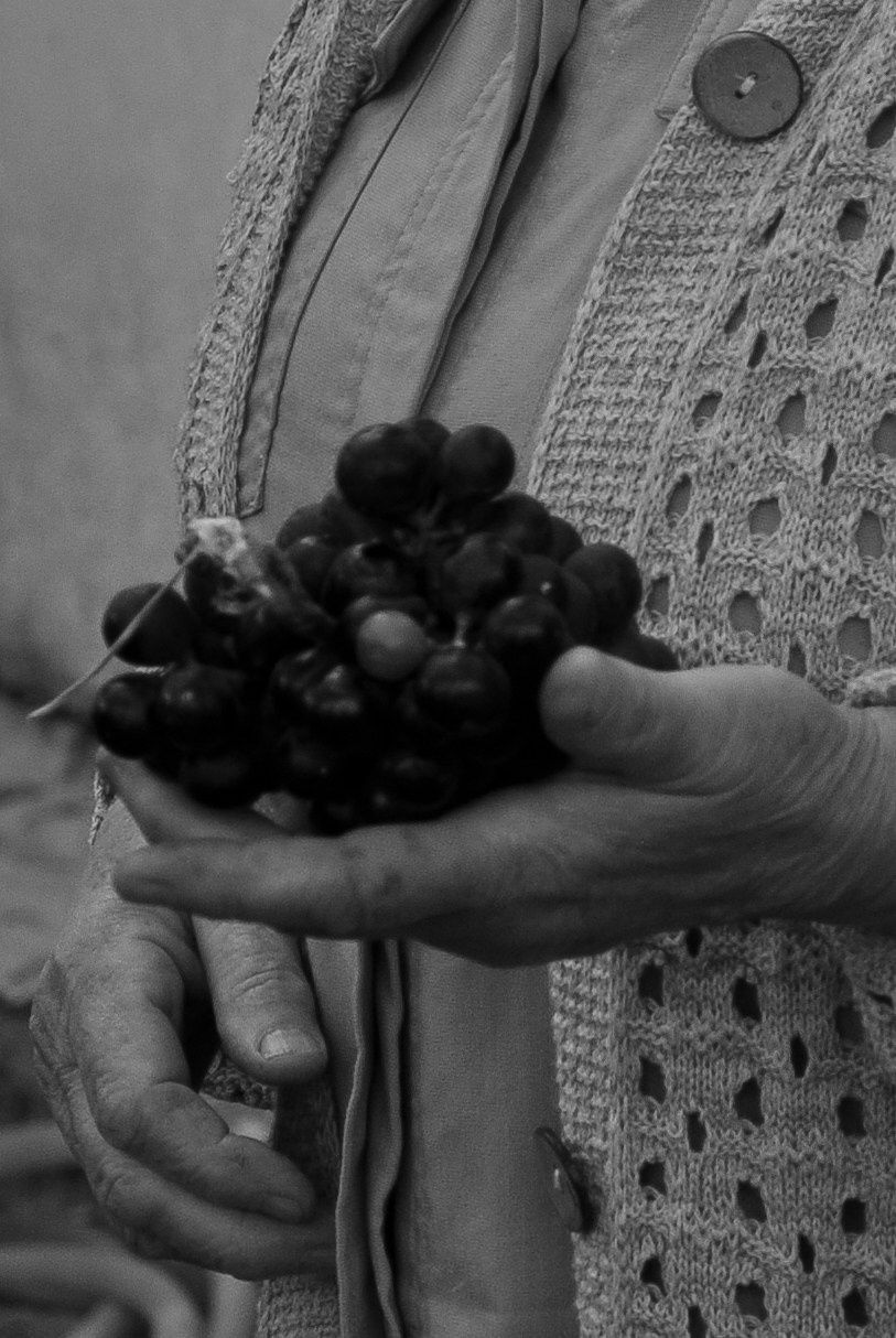 Babushka. DINA MOREVA photography