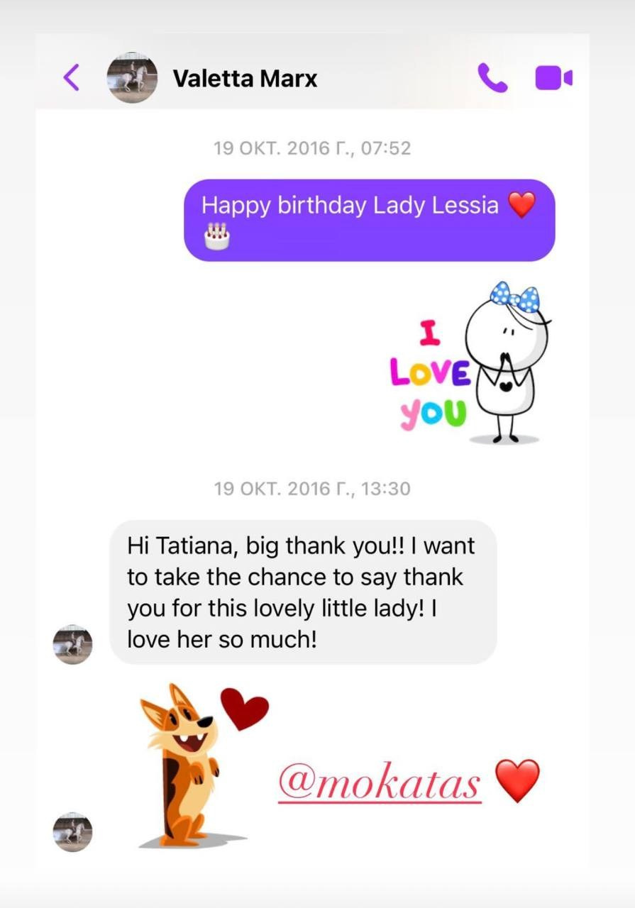 Welcome. Профессиональный питомник левреток РКФ/FCI ASTI SAPPHIRE 💎 Сочи|Санкт-Петербург