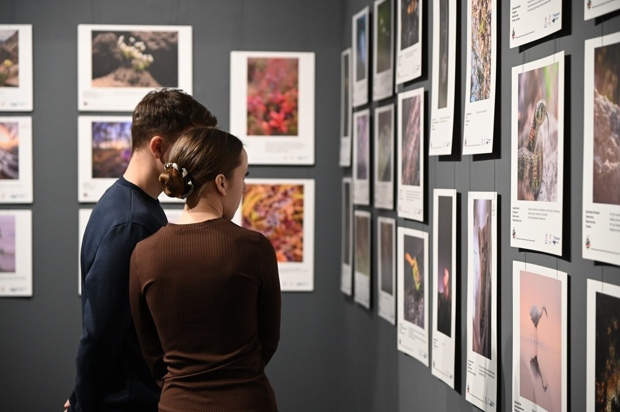 Награды. Andrew Gusarov Nature Photography