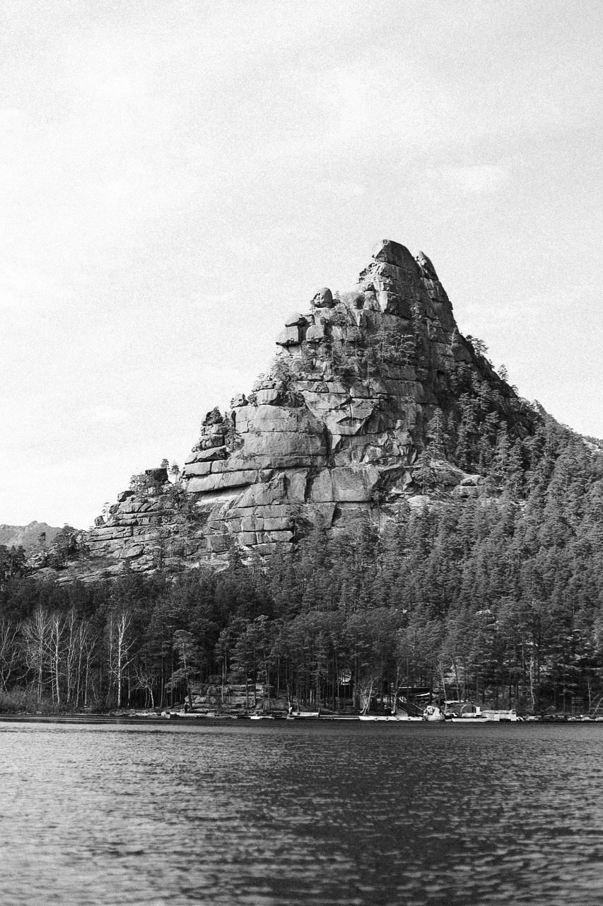 НОЕВ КОВЧЕГ. Художница Екатерина Малышева