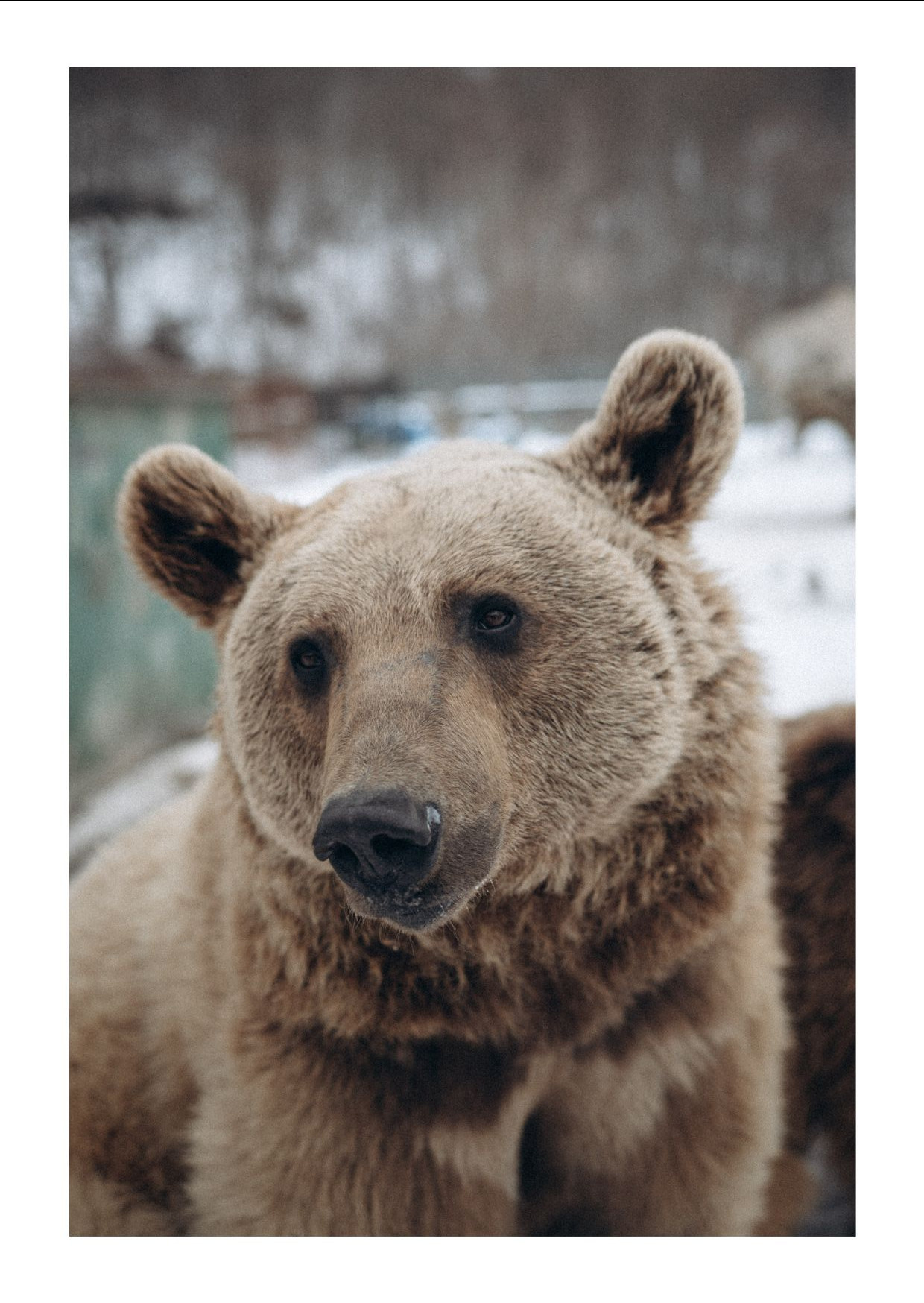 Открытки. Anita_photo