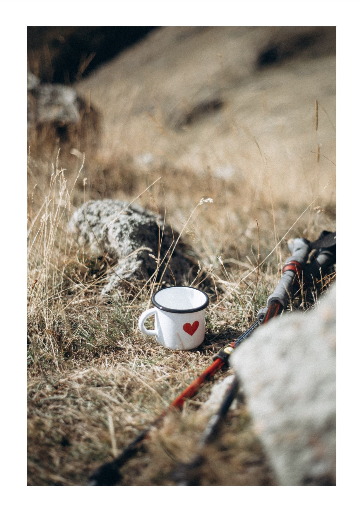 Открытки. Anita_photo