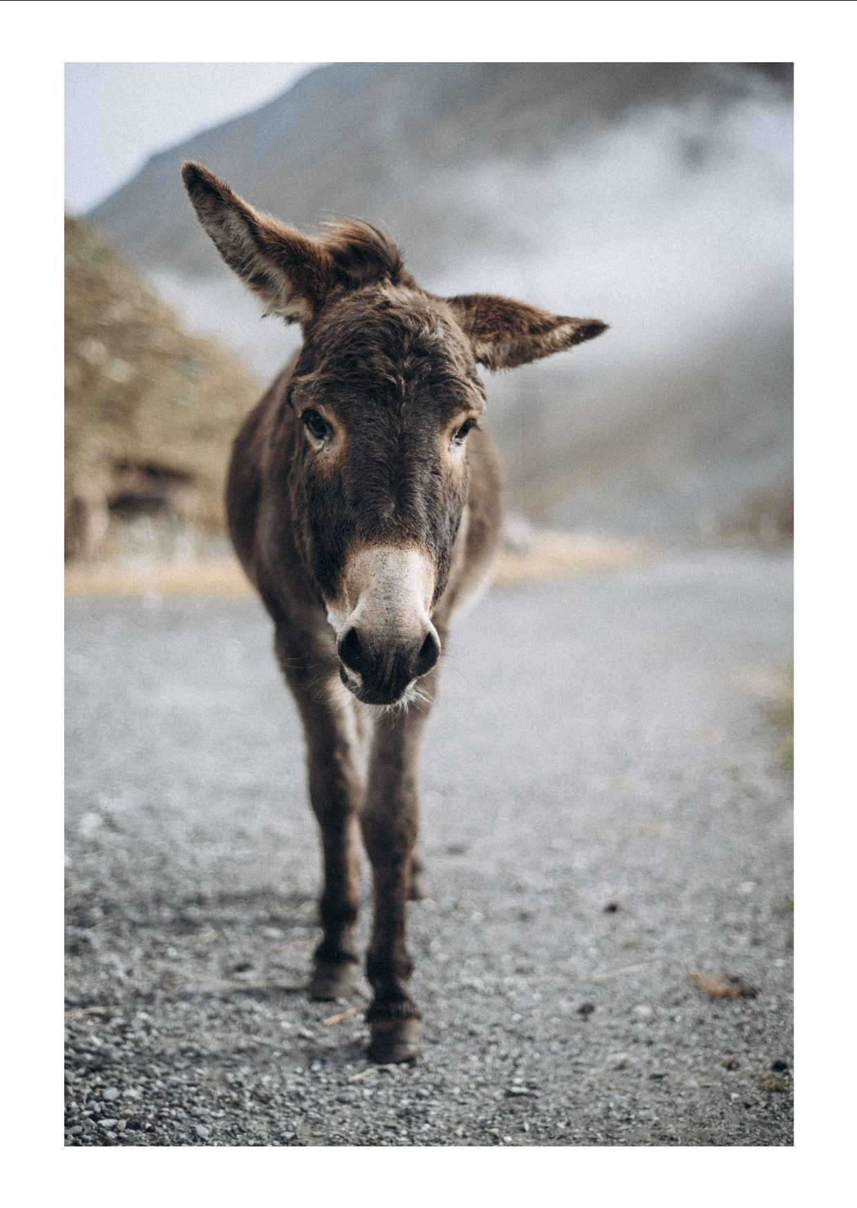 Открытки. Anita_photo