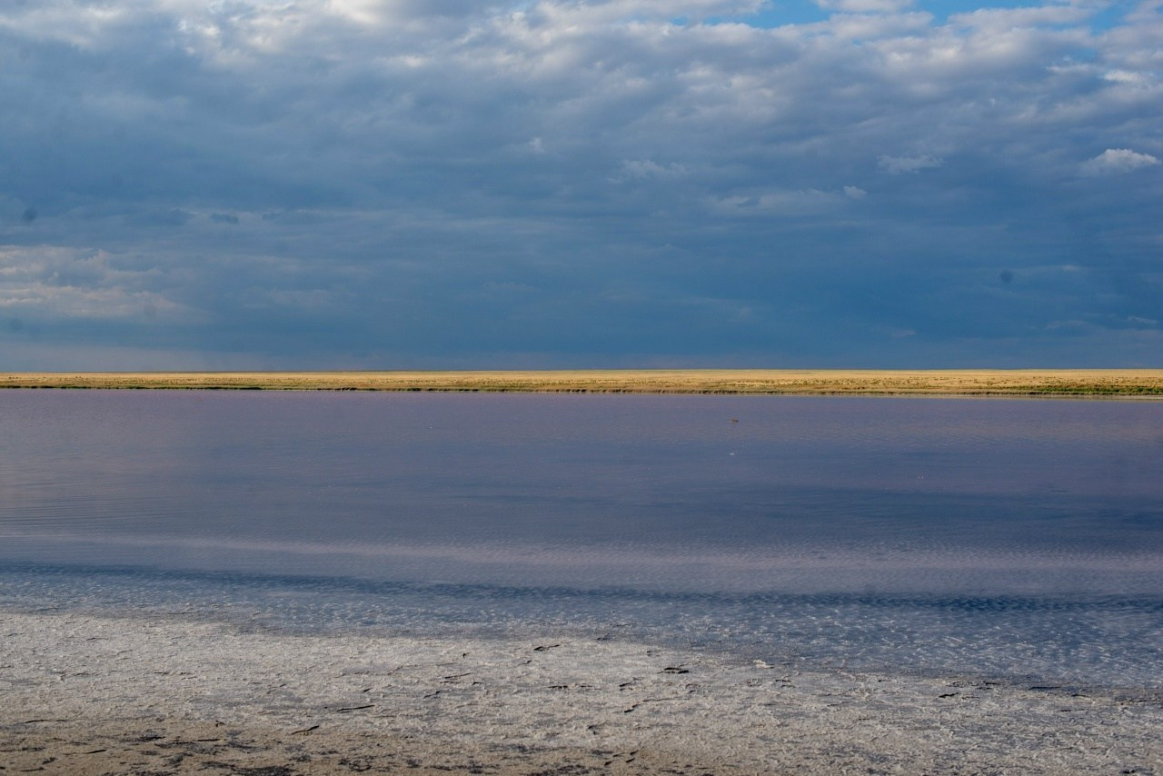Lake Elton. The Kingdom of Salt. Travel photographer Max Muze