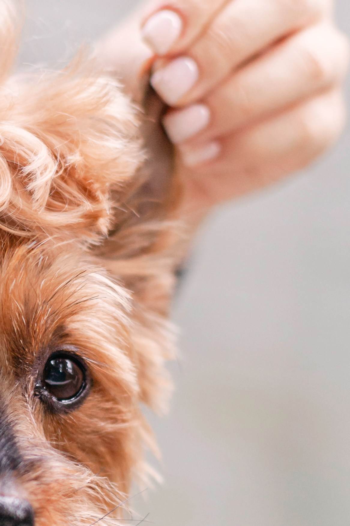 Катя и Моня. Фотограф-анималист Татьяна Степанова