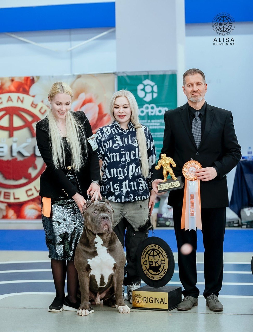 Участие в выставках. Американские булли XL в г. Калининград. Питомник Great Bully UNIVERSE