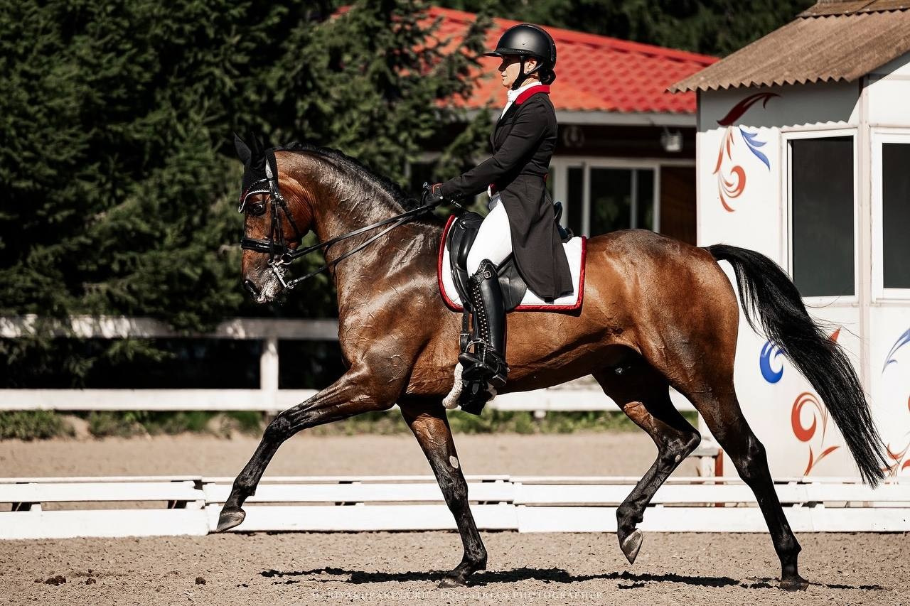 Кубок по ВЫЕЗДКЕ в КСК «РУССКИЙ АЛМАЗ» 8 этап. Куракина Дарья • Конный фотограф