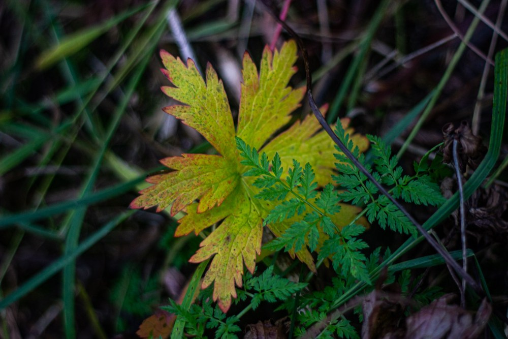 Станция Собь. Фотограф Екатерина Зорина