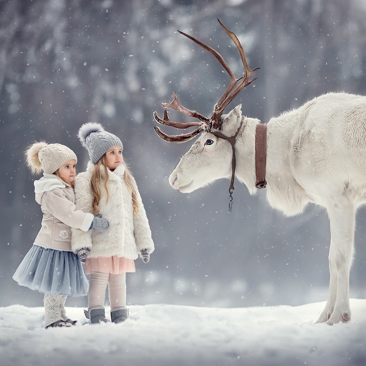 Программа 2-х дневного МК. Детский и семейный фотограф Елена Михайлова в Москве