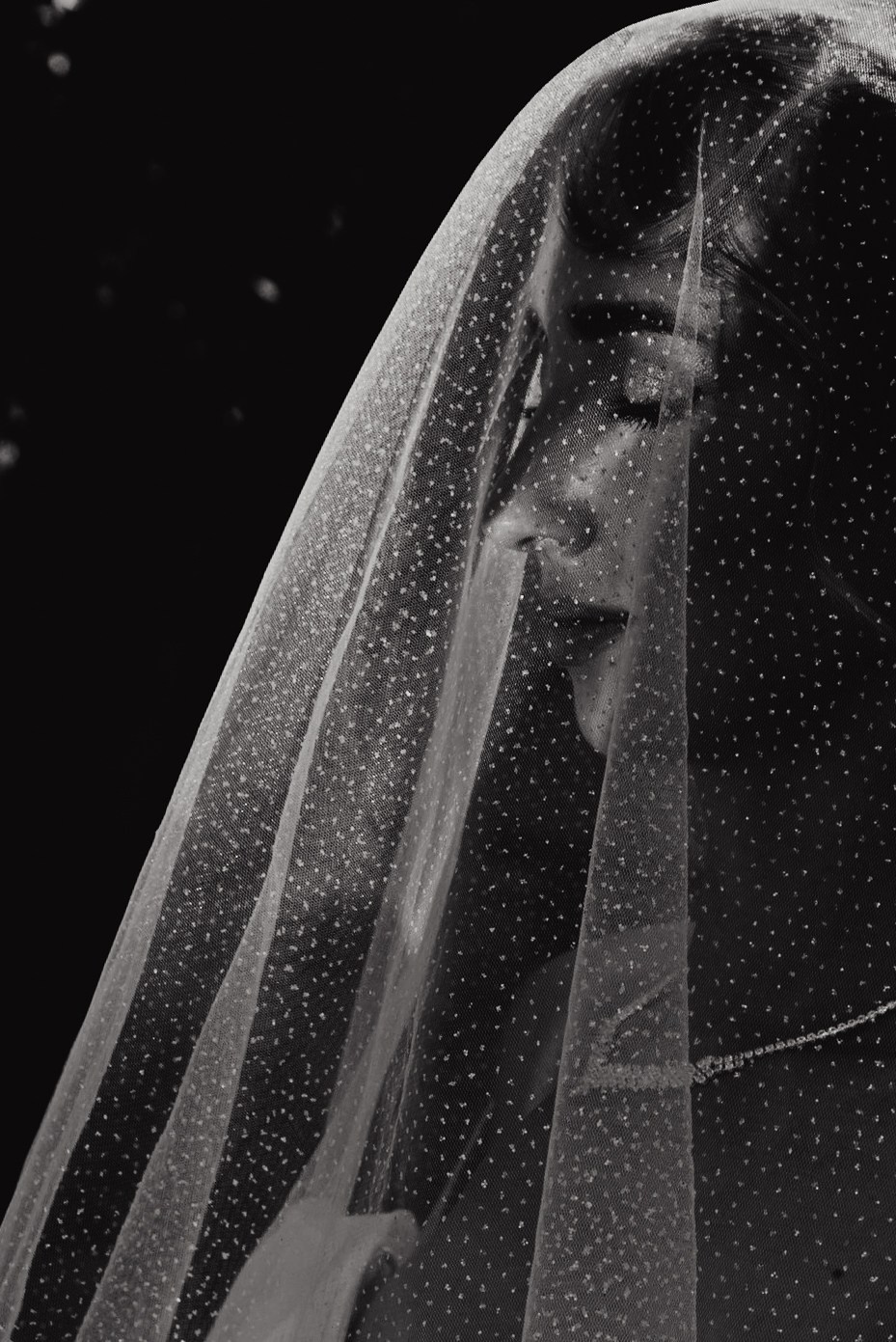 Любимка. Виталий Москальцов