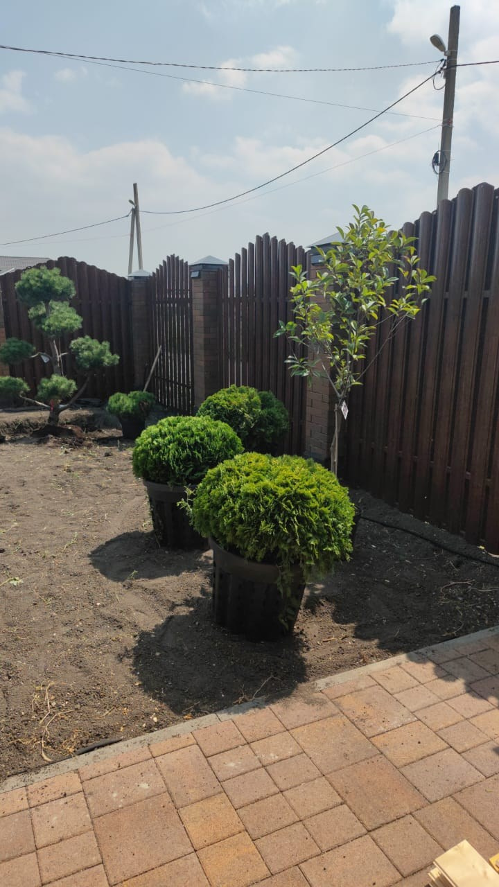 Тати. Дизайн интерьера, мебели и ландшафта на КМВ | OXY Design