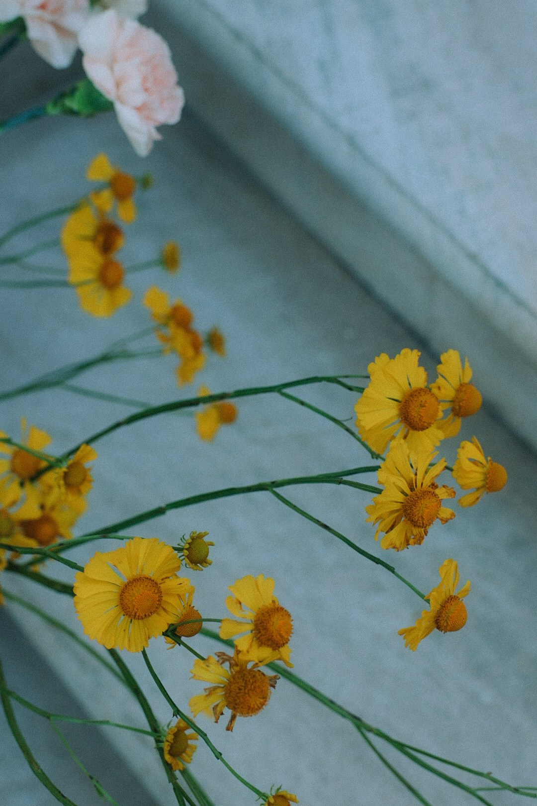 Backstage. Фотограф Нижний Новгород