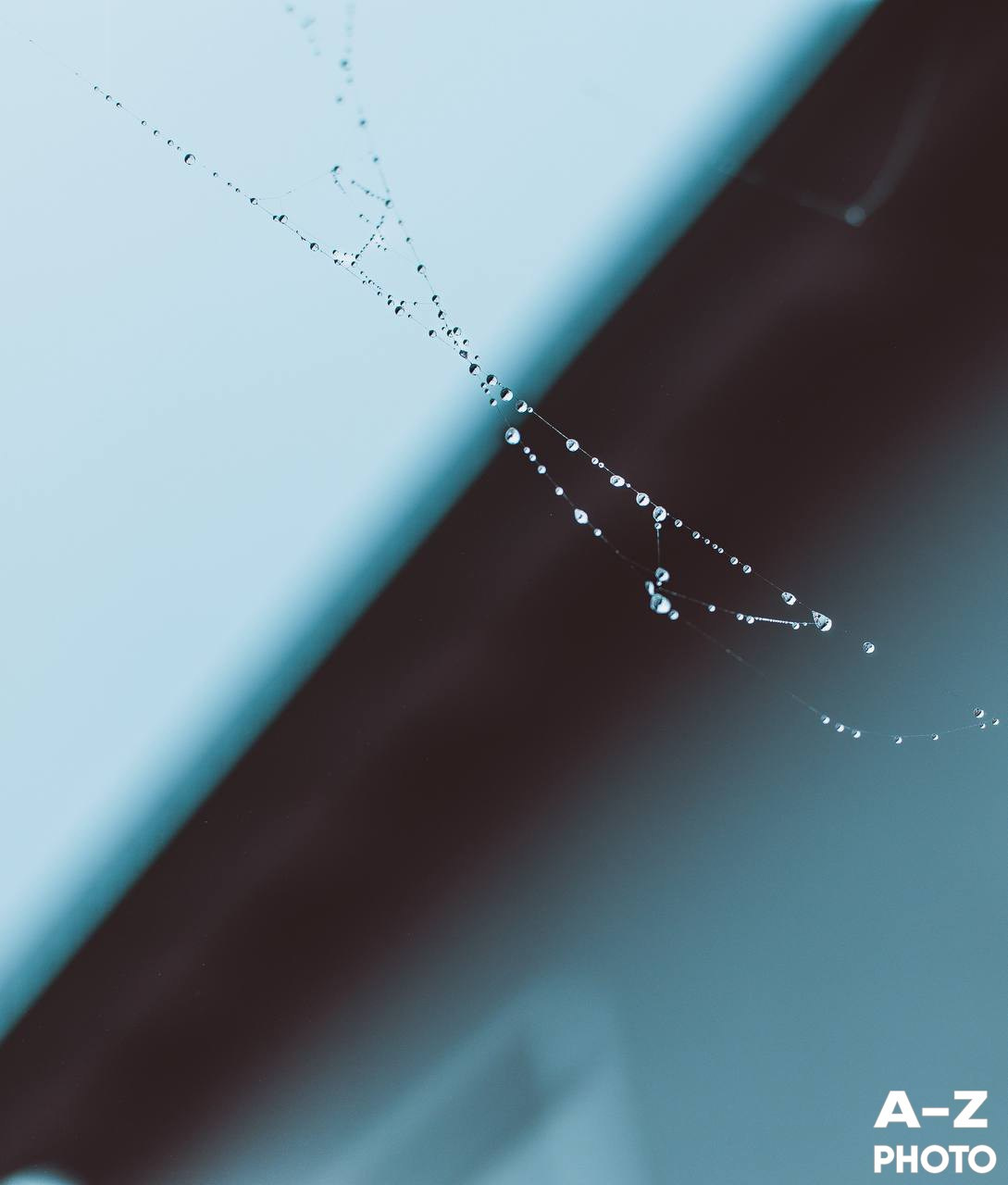 Фотонедели. Женский семейный фотограф Тула Москва Захарова Анна