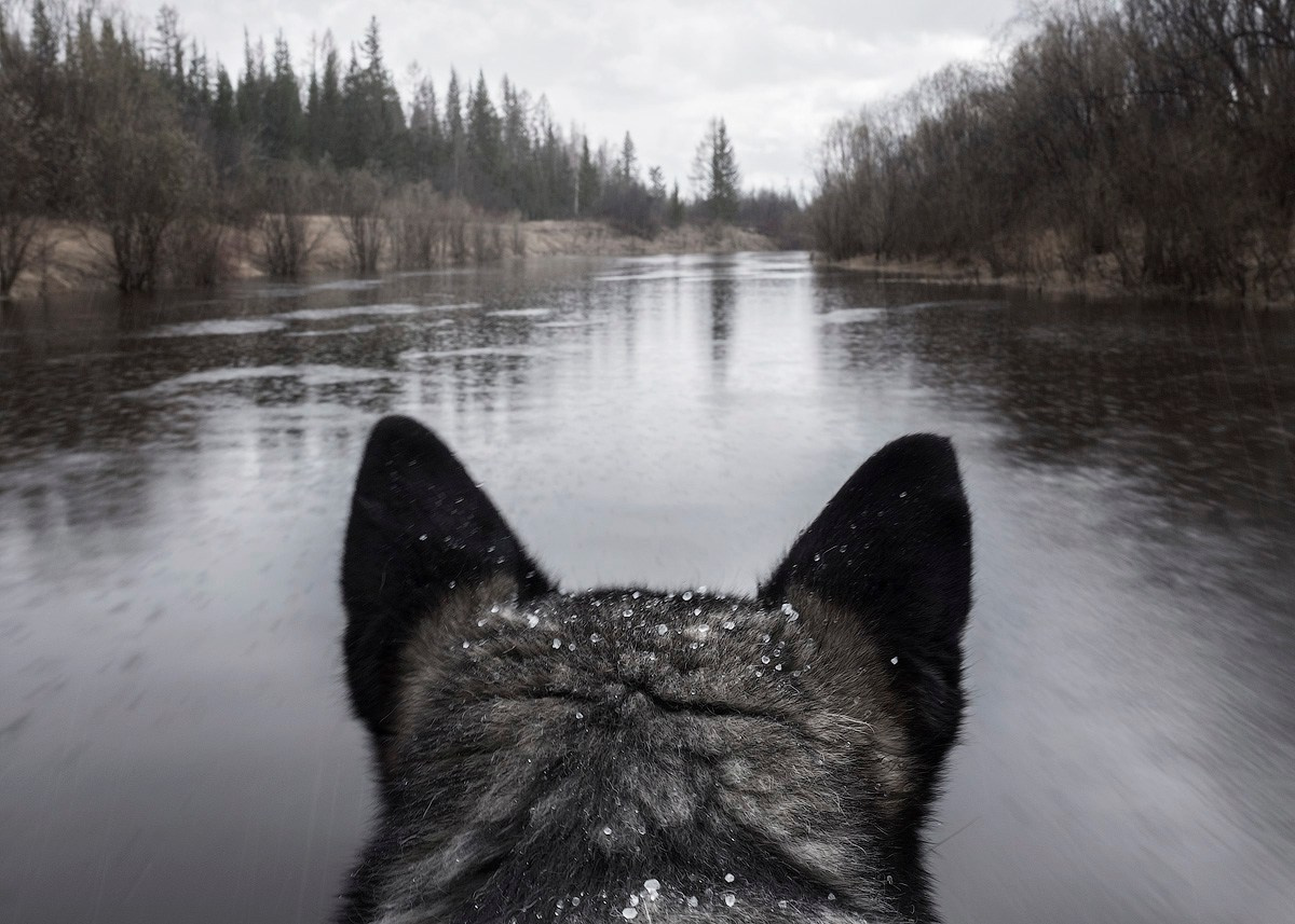 Атлас первого снега серия фотографий. Елена Аносова — художница и исследовательница, куратор и лектор