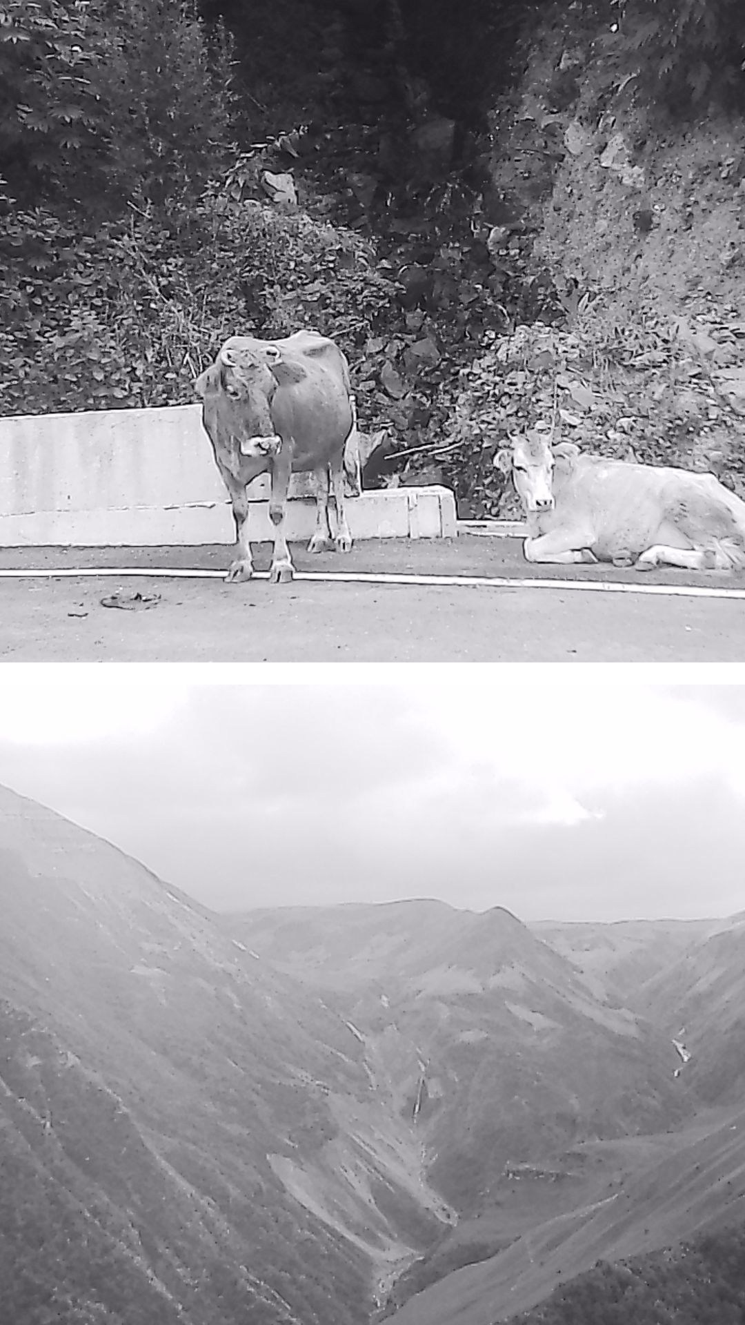 «Крошка 🐣». Anita_photo