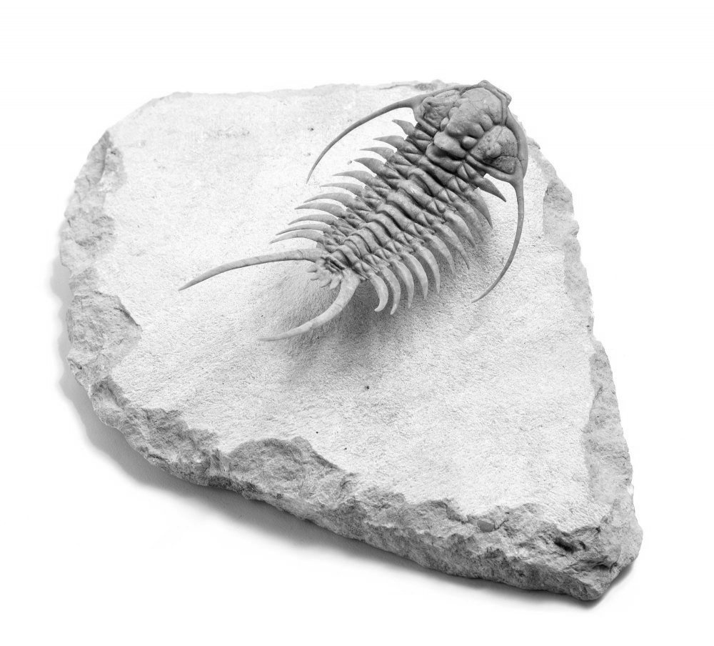 Дневник каньона. Екатерина Васильева художник, куратор и преподаватель