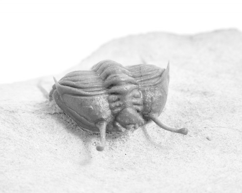 Дневник каньона. Екатерина Васильева художник, куратор и преподаватель