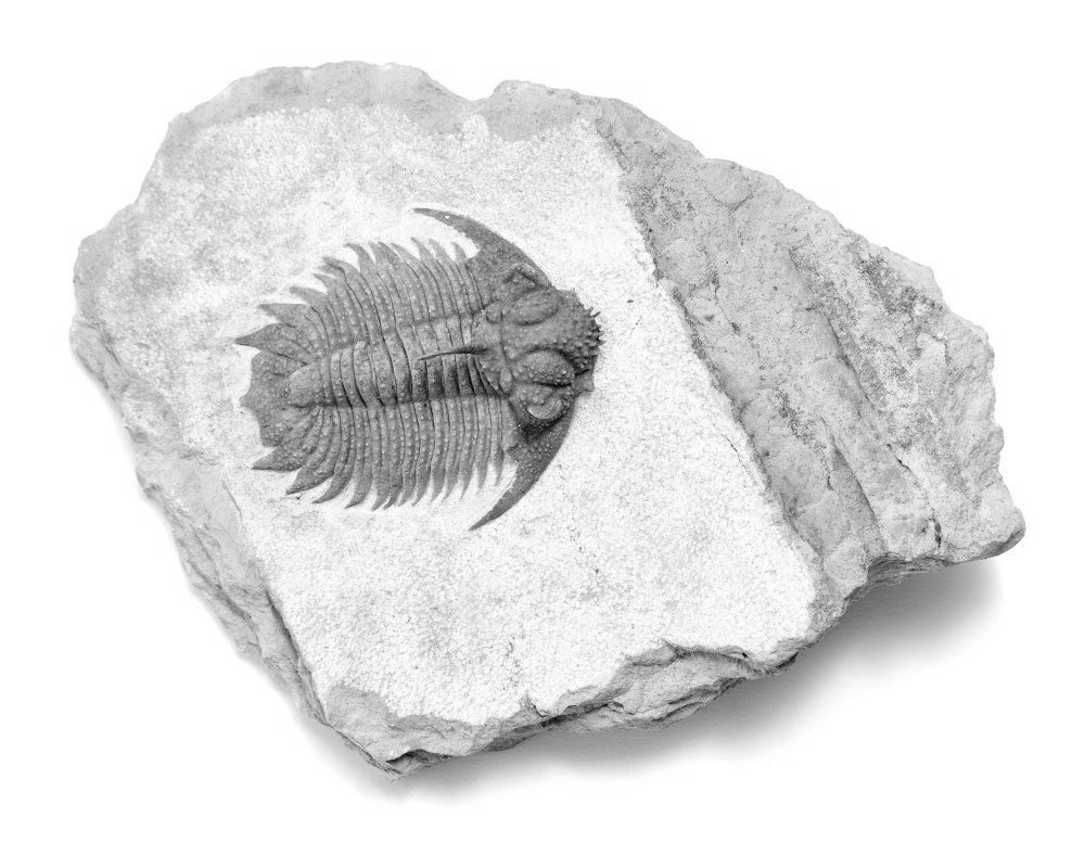 Дневник каньона. Екатерина Васильева художник, куратор и преподаватель