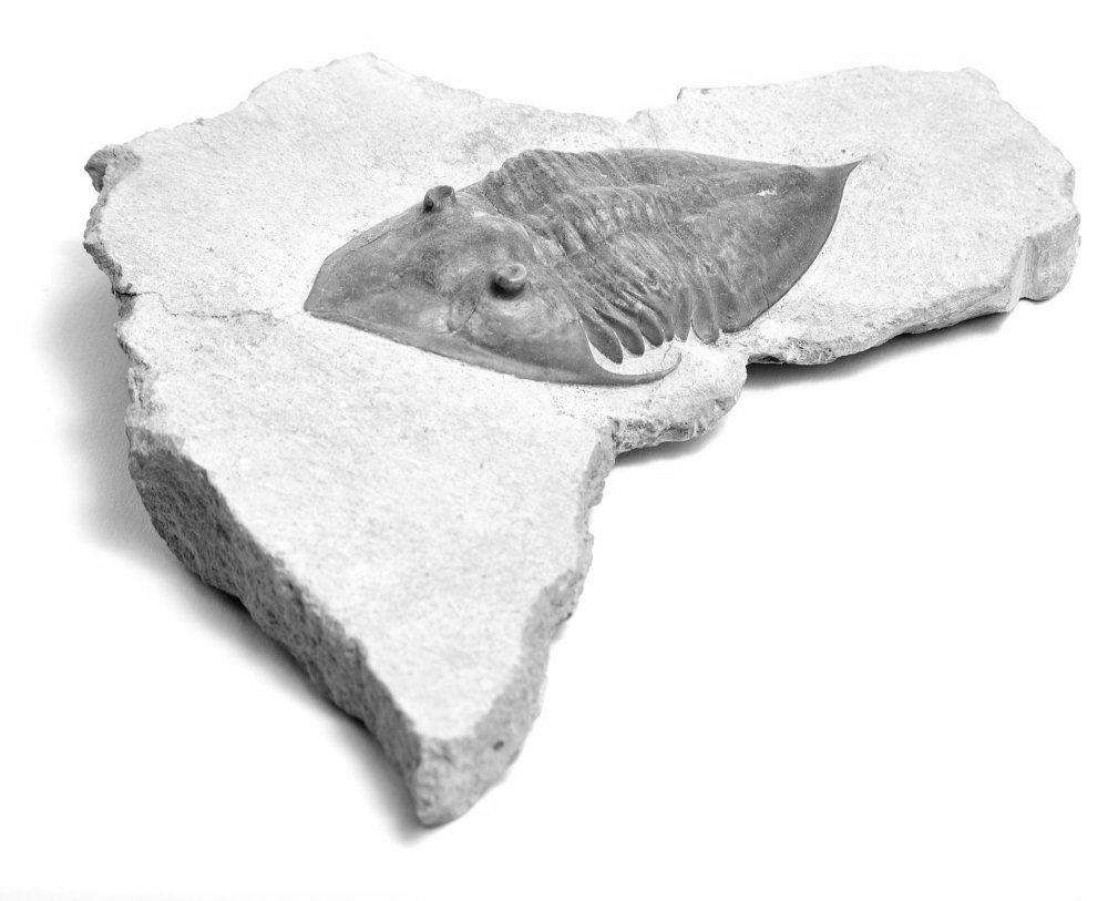 Дневник каньона. Екатерина Васильева художник, куратор и преподаватель