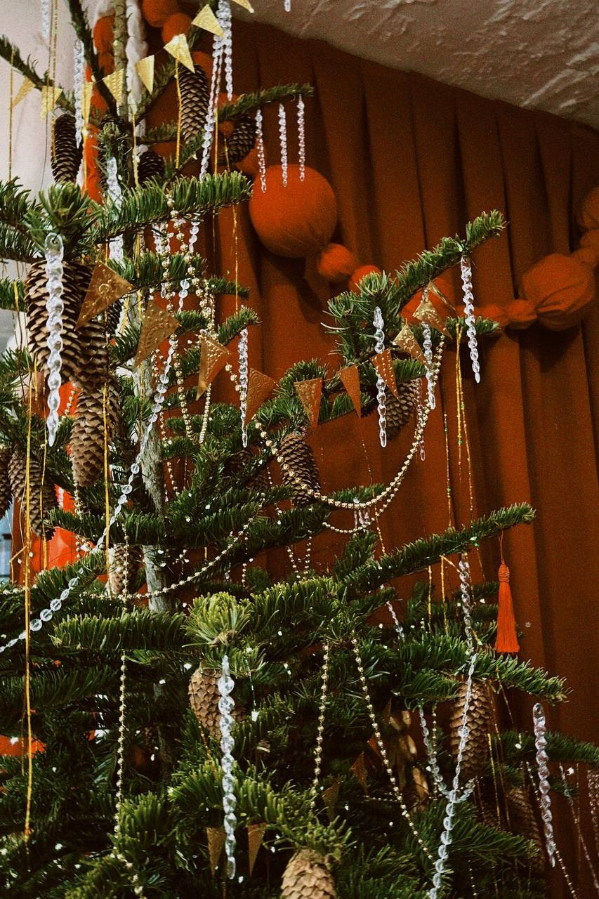 М4 Елка. Фотограф Настя Лев