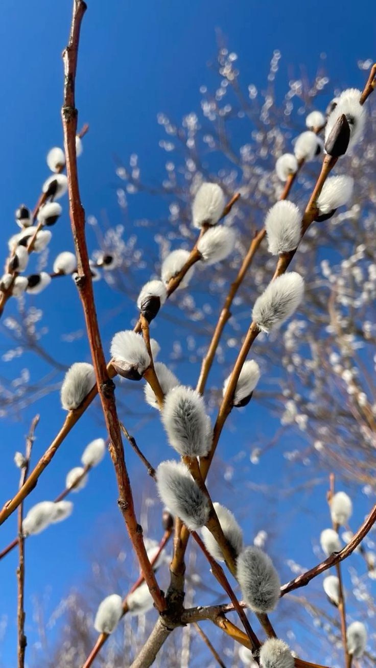 Психолог Юлия Наумкина