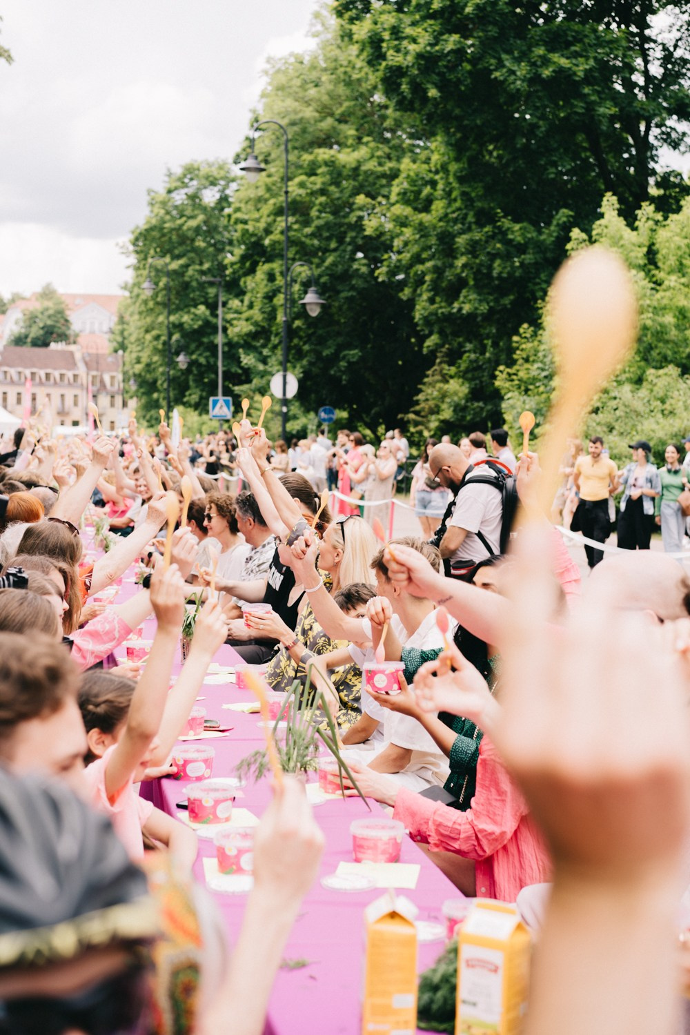 Pink Soup Fest 2024 (Šaltibarščiai Fest). Photographer in Vilnius