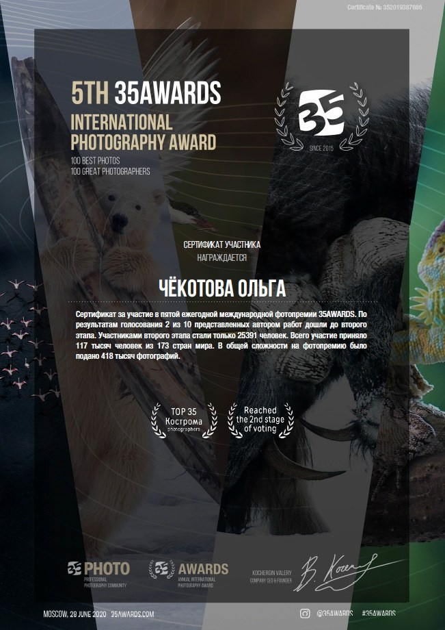 Конкурсы и грамоты. Ольга Чёкотова (Фотограф Кострома)
