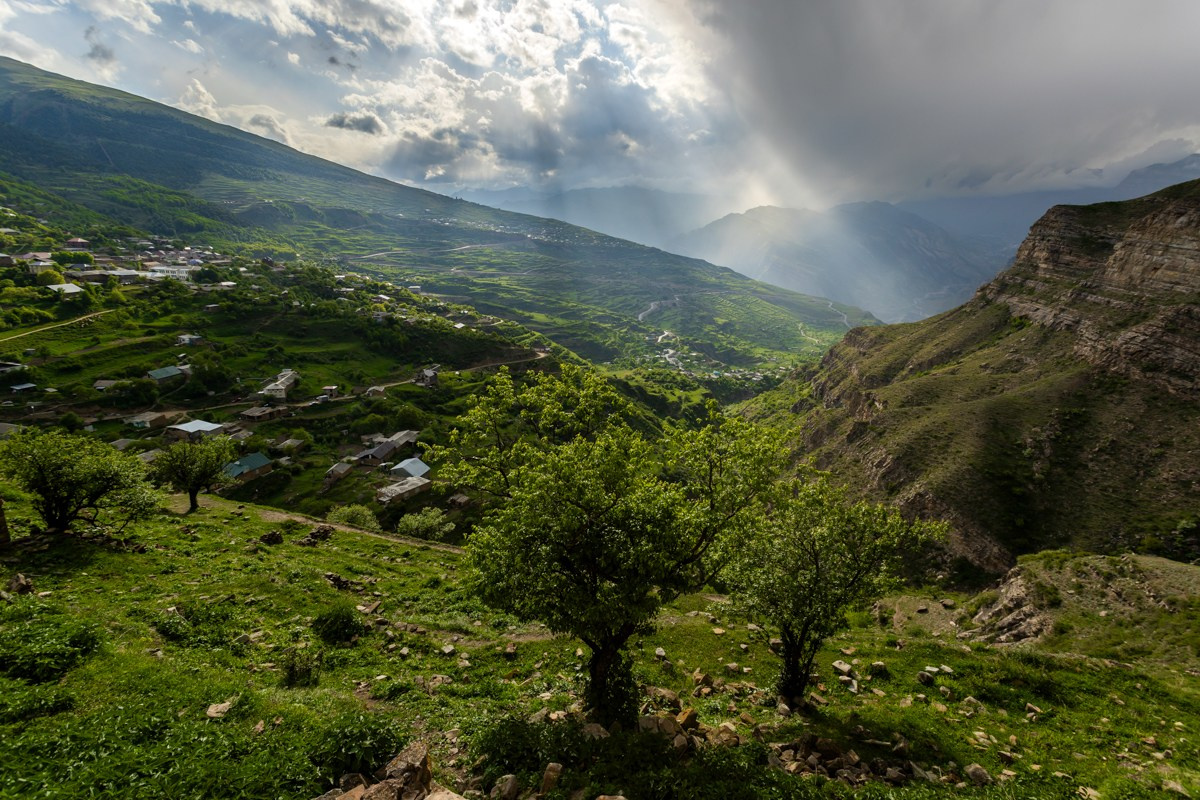 Аул Кахиб. Photomantis