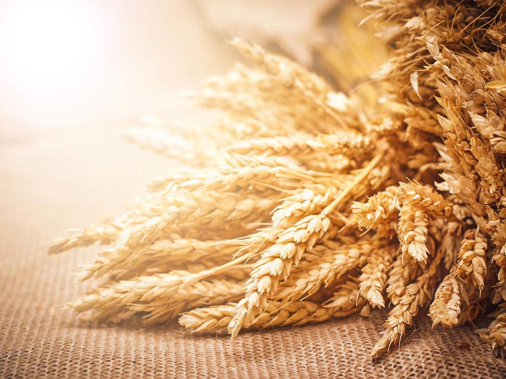 Ростов-на-Дону, предметный съемка, фотограф цена, фотосъемка предмет, съемка фото, профессиональный рекламный фотограф, профессиональный фотограф, промышленный фотограф, предметный фотограф, фотограф предметной съемки, нужен предметный фотограф, фуд фотограф, фуд съемка, рекламная фотосъемка, съемка +для каталога, предметная съемка для сайта, меню, съемка ювелирных украшений, портфолио, съемка календарей,