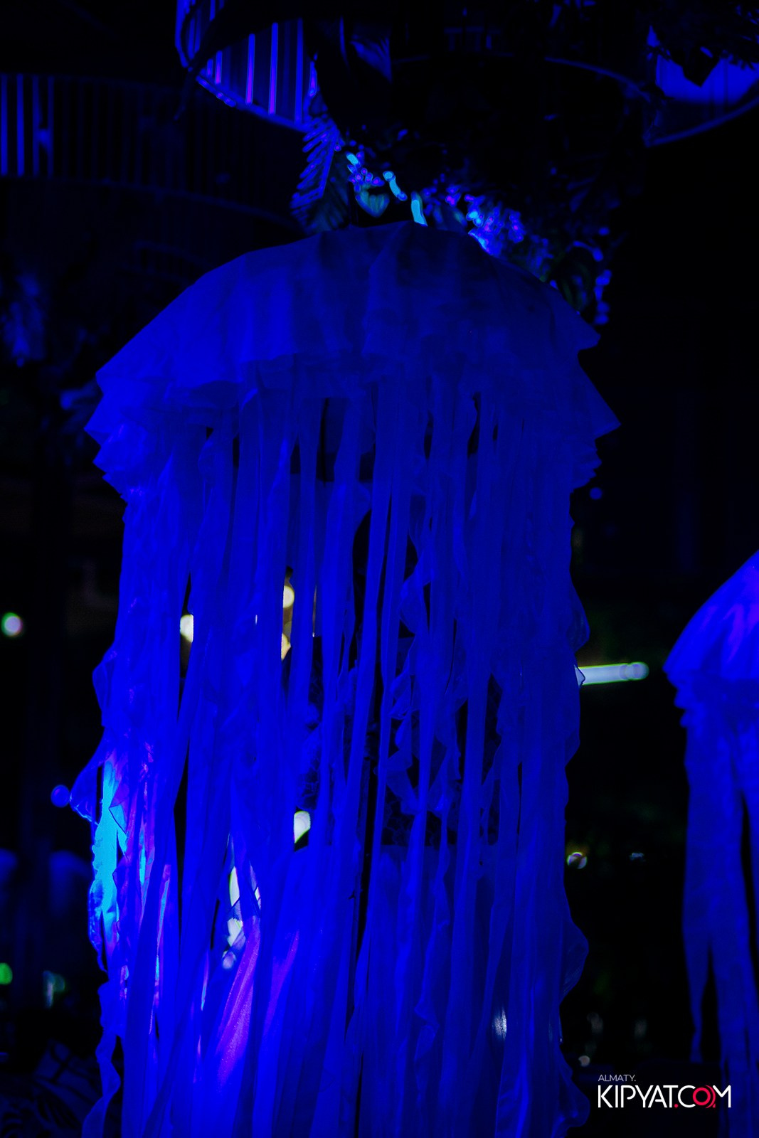 FRIENDS BAR & TERRACE. КИПЯТКОМ АЛМАТЫ!