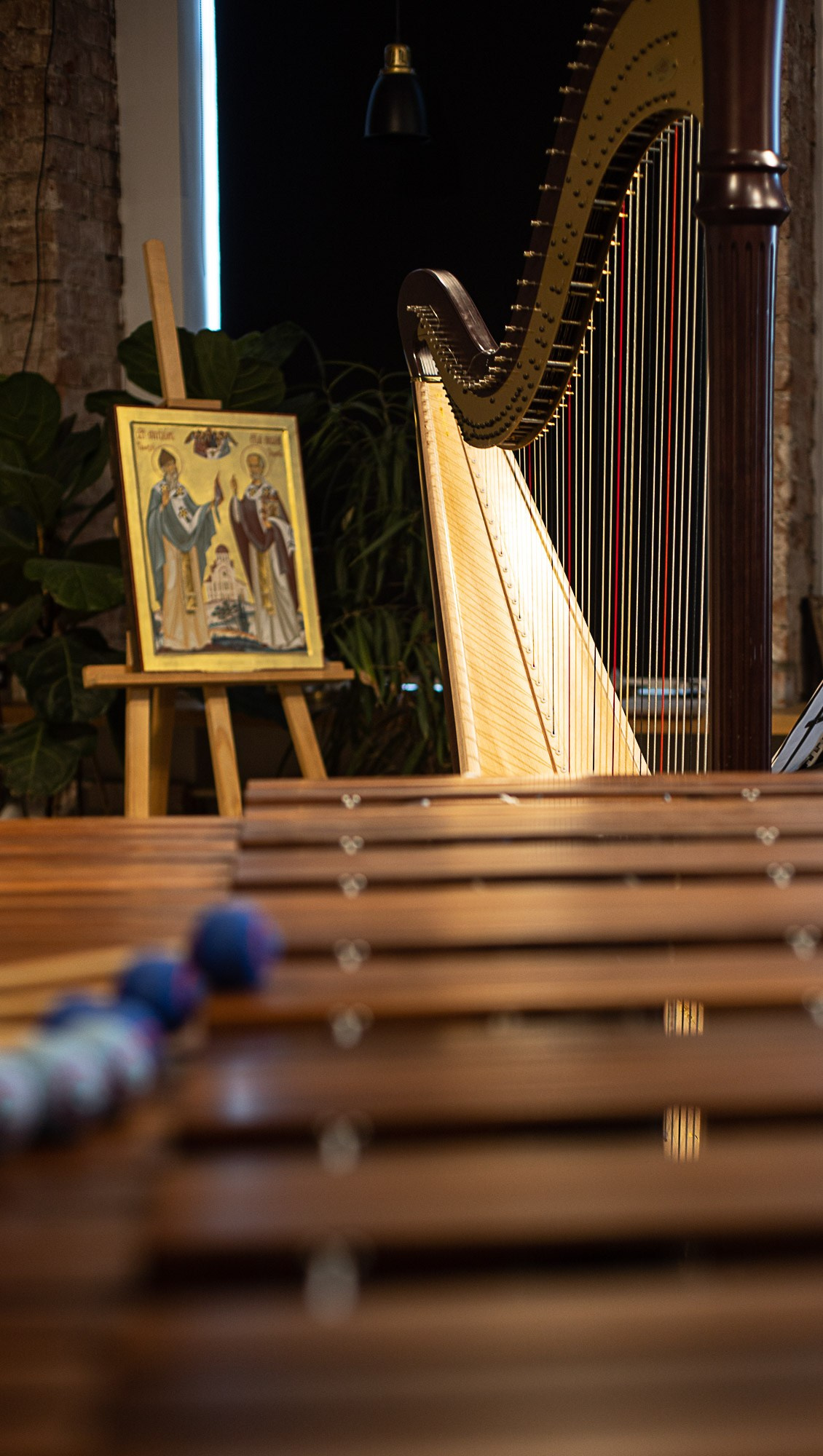 Арфа и маримба. SaGaFOTO.ru