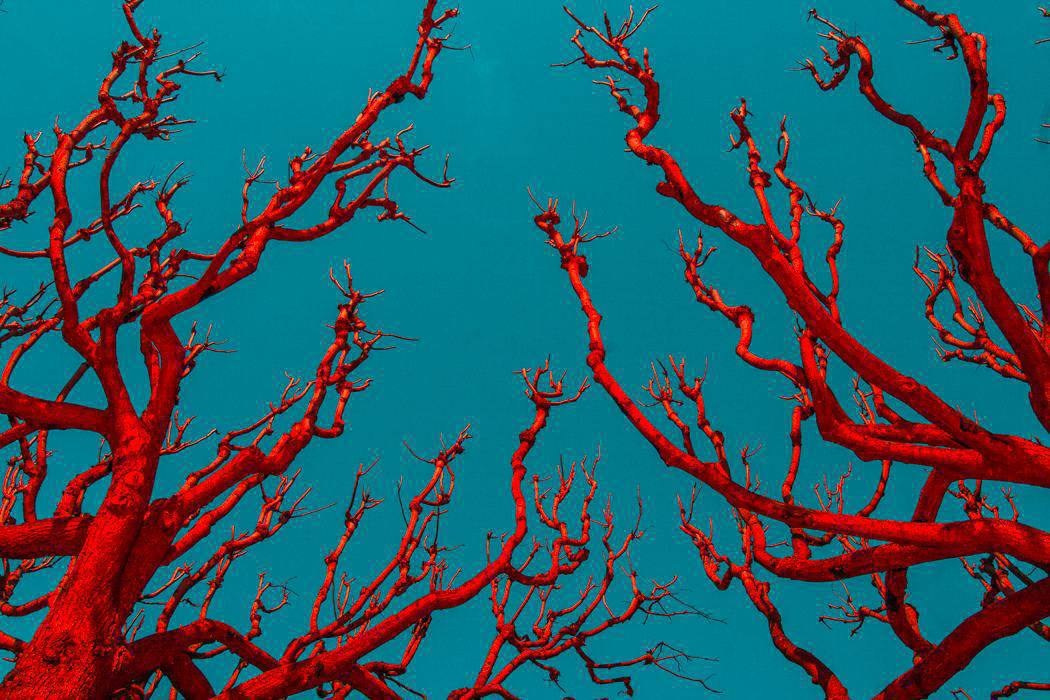 Галерея 1. Наталья Жукова. Курсы фотографии