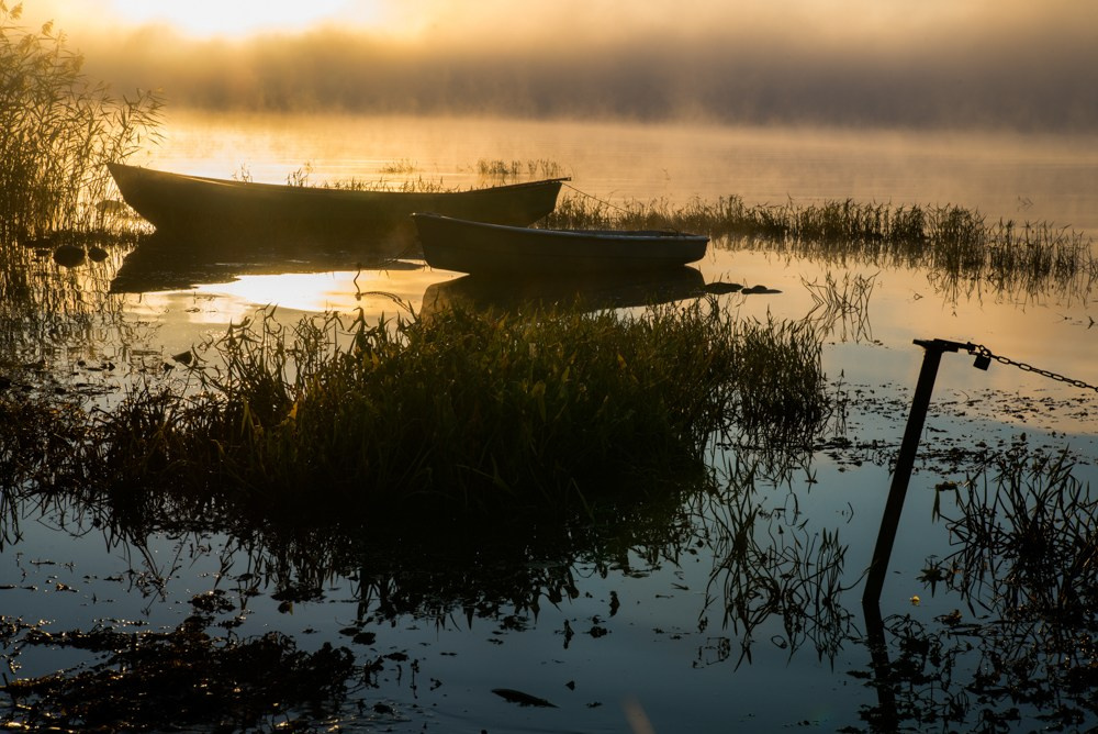 Singles 2. Alyona Kochetkova | Photographer and photography educator