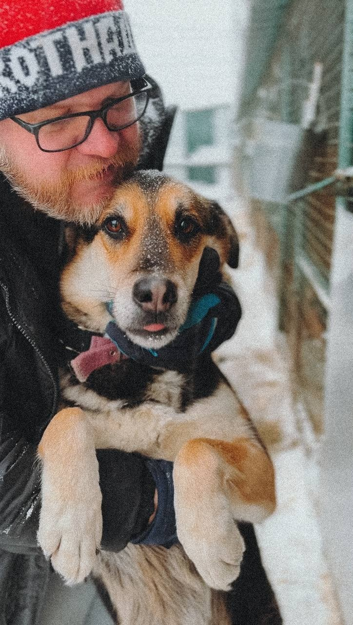 Прогулки и волонтерство. Забери домой друга