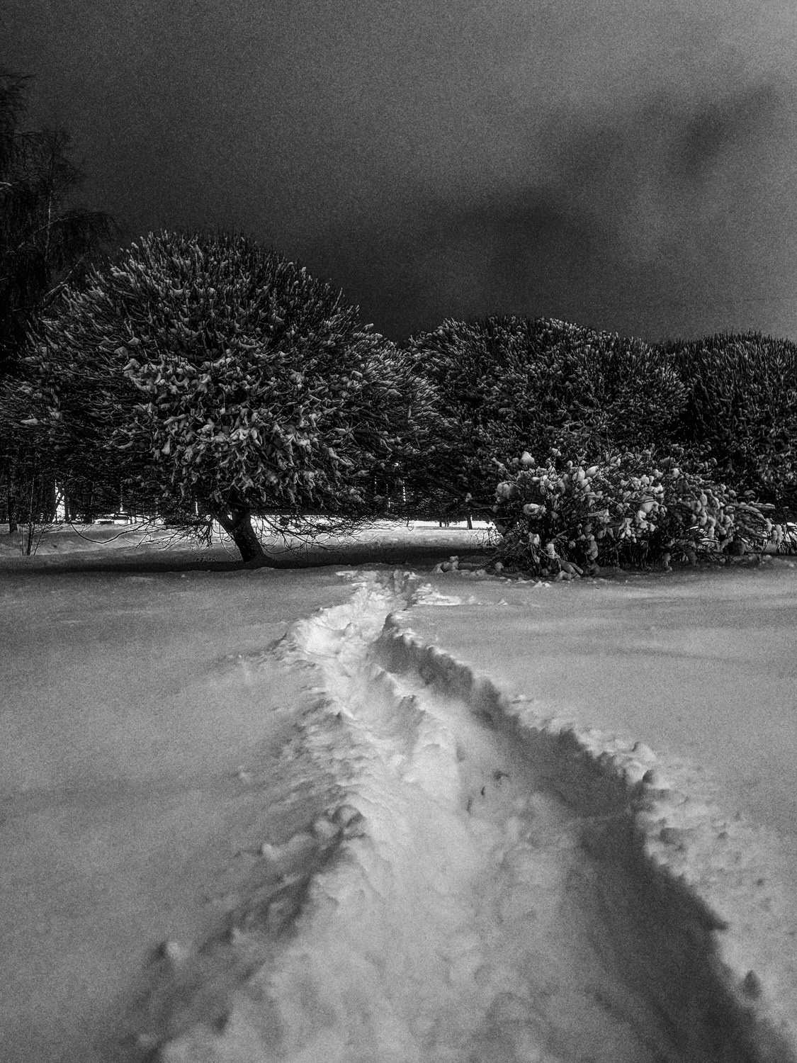 Современная концептуальная фотография о теле, уязвимости и идентичности. Визуальная практика на стиле честности, пост-иронии и искусства.Рекламная фотография, Концептуальная фотография, Современный художник, Психология, Коммерческий фотограф, Репортажный фотограф, Стрит фотография, Арт, Сюрреализм, Мобильная фотография, Снято на айфон, Дима Бурза