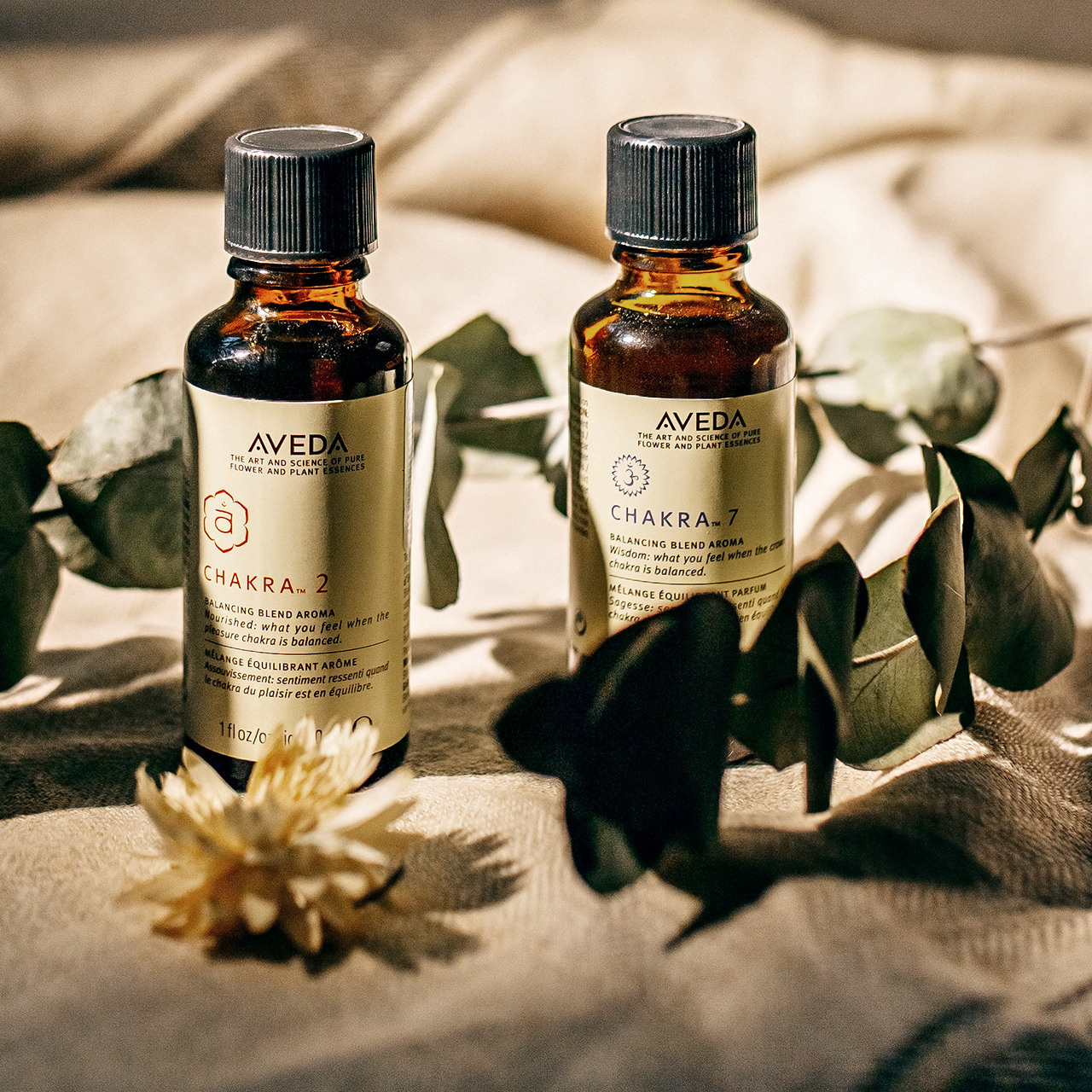 Контент съемка для спа салона красоты «Shakty». Анастасия Турсунова арт-фотограф в Москве