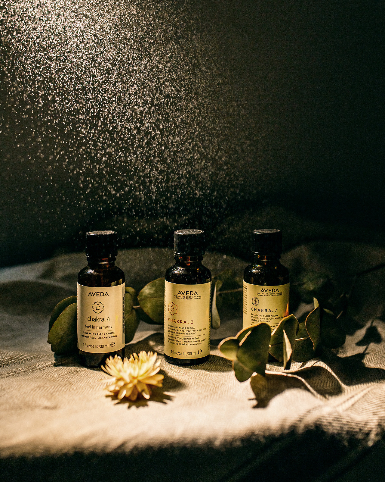 Контент съемка для спа салона красоты «Shakty». Анастасия Турсунова арт-фотограф в Москве