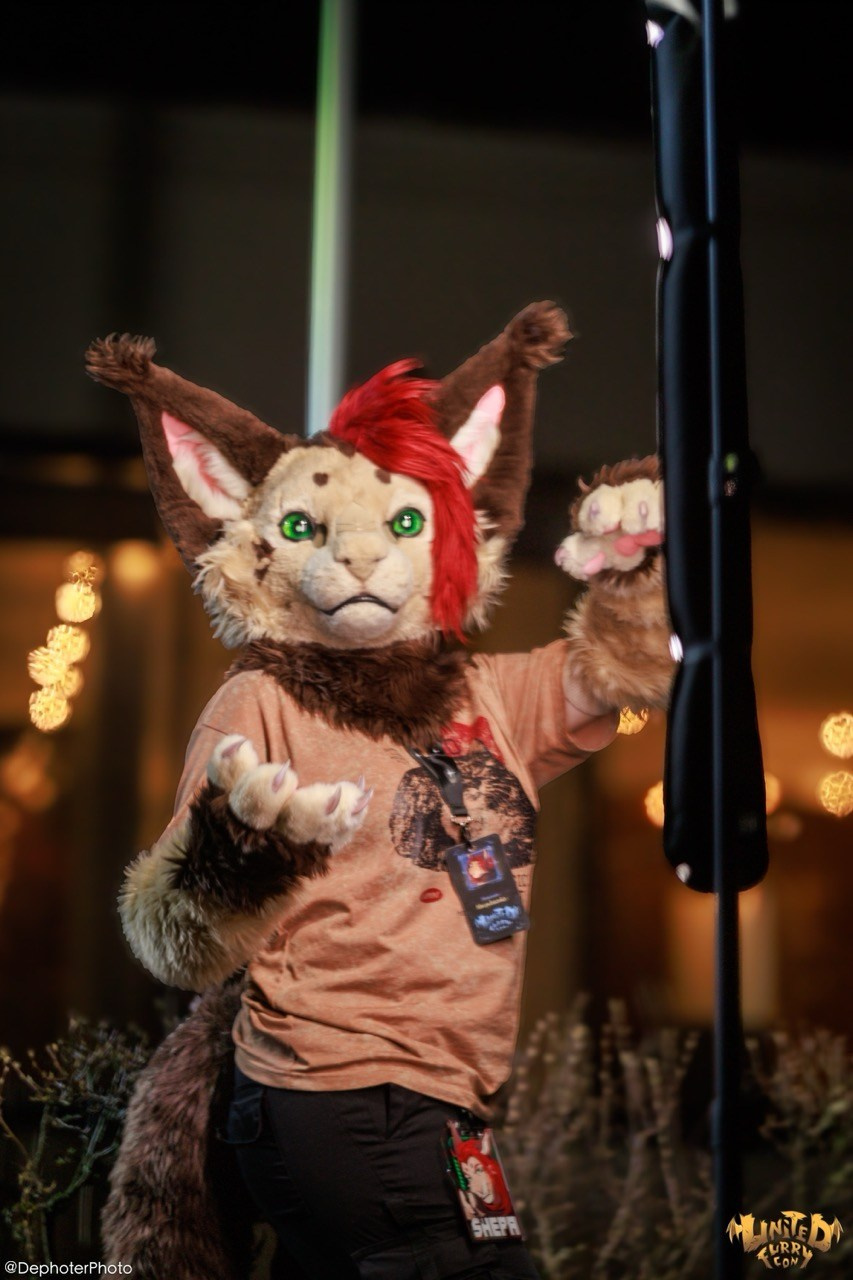 United Furry Convention 2026. Различные мероприятия и просто фотографии людей