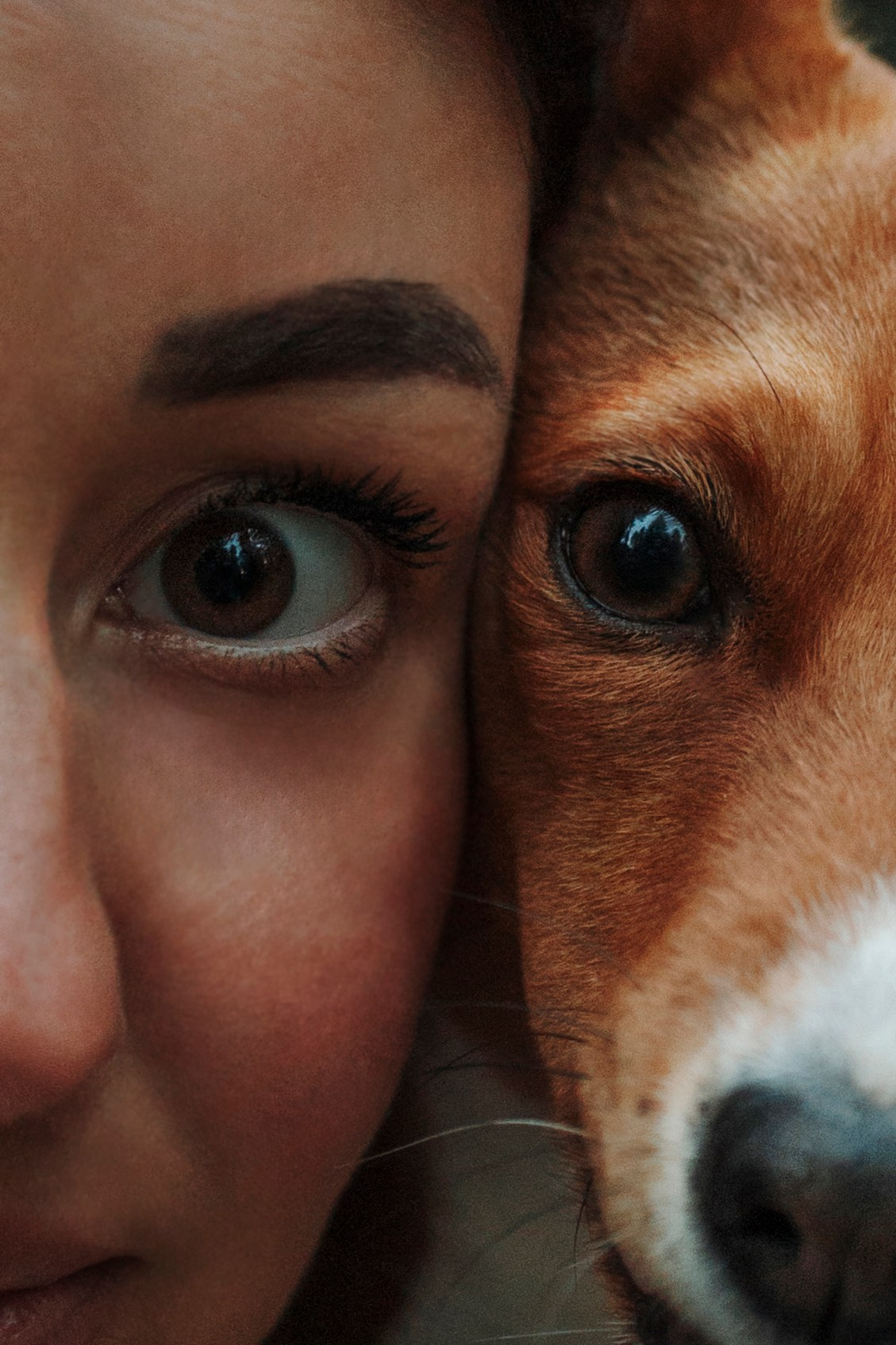 Даша и Лора. Фотограф-анималист в Санкт-Петеребурге Титова Алиса