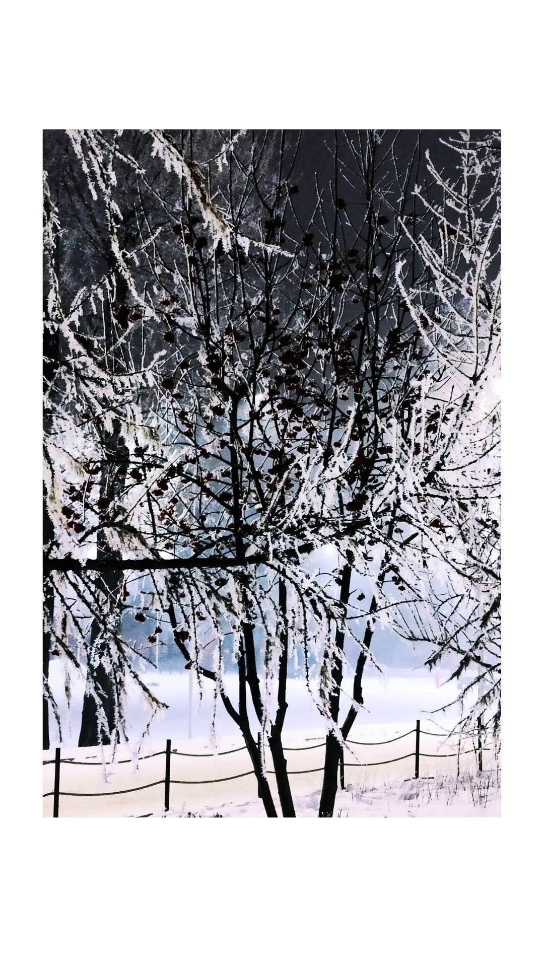 Зима по-сибирски. Главная