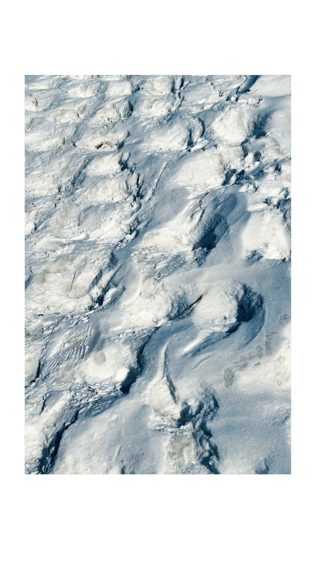 Зима по-сибирски. Главная