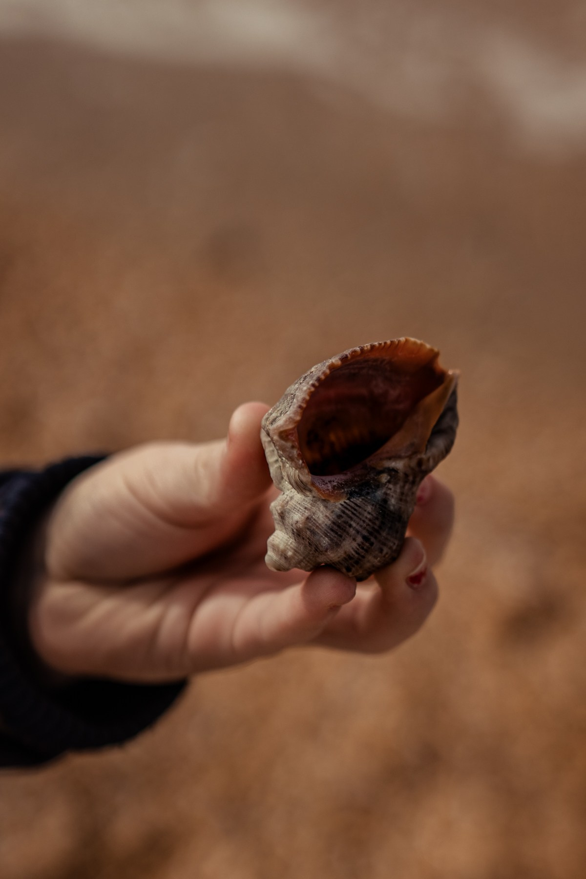 Катя с девочками — утро на пляже. Семейный фотограф Новороссийск, Анапа, Геленджик — Юлия Давыдова